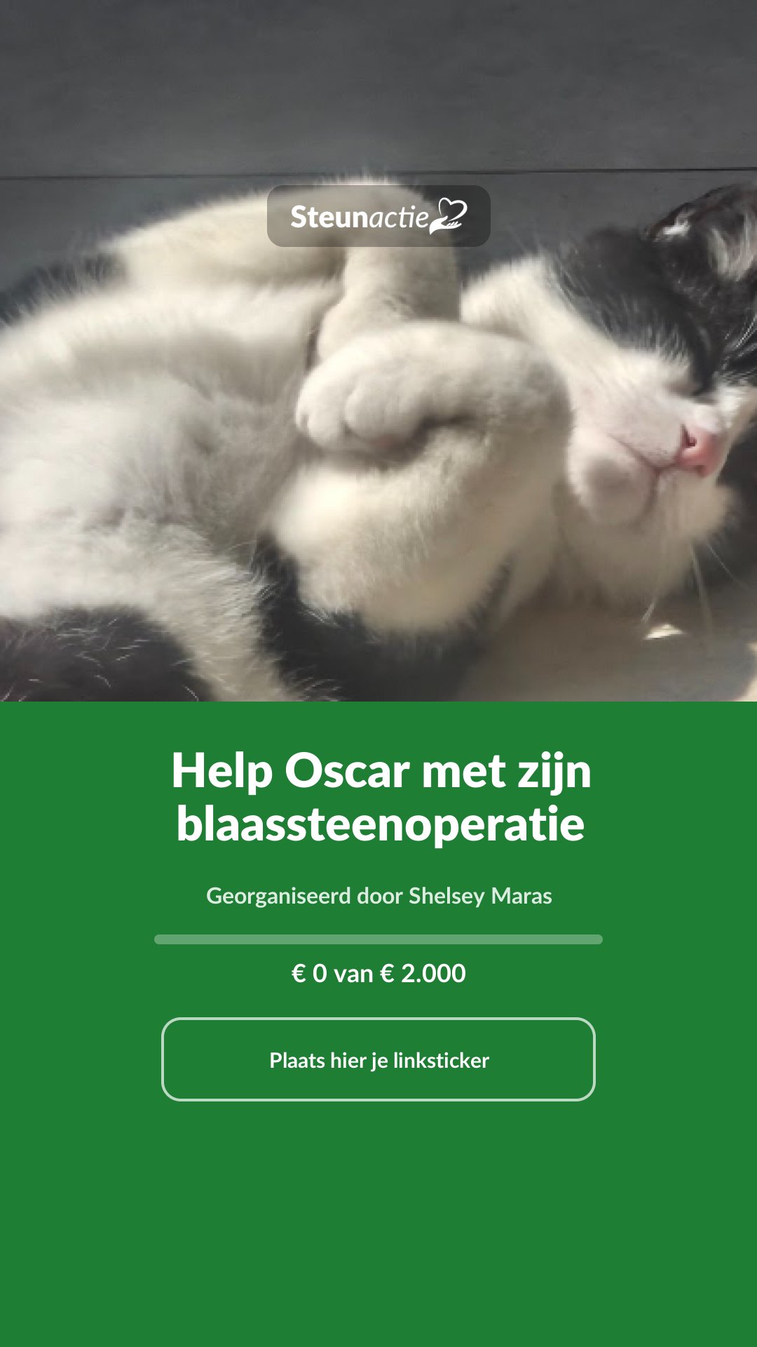 Voorbeeld van de afbeelding