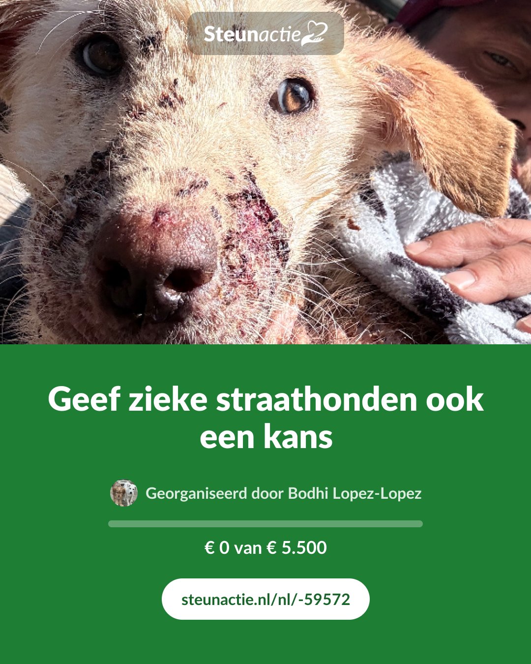 Voorbeeld van de afbeelding