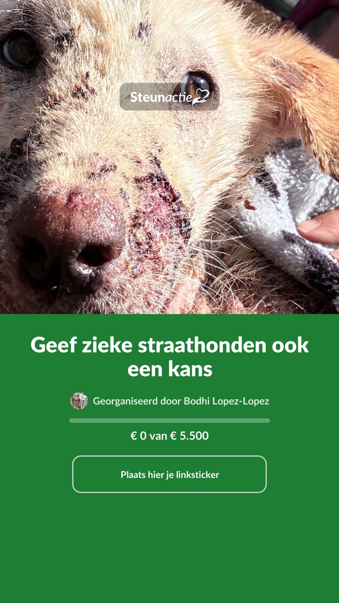 Voorbeeld van de afbeelding