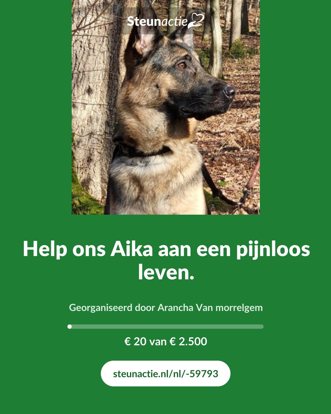 Voorbeeld van de afbeelding