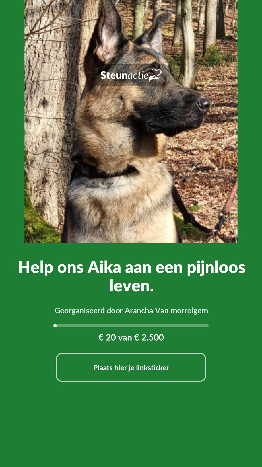 Voorbeeld van de afbeelding
