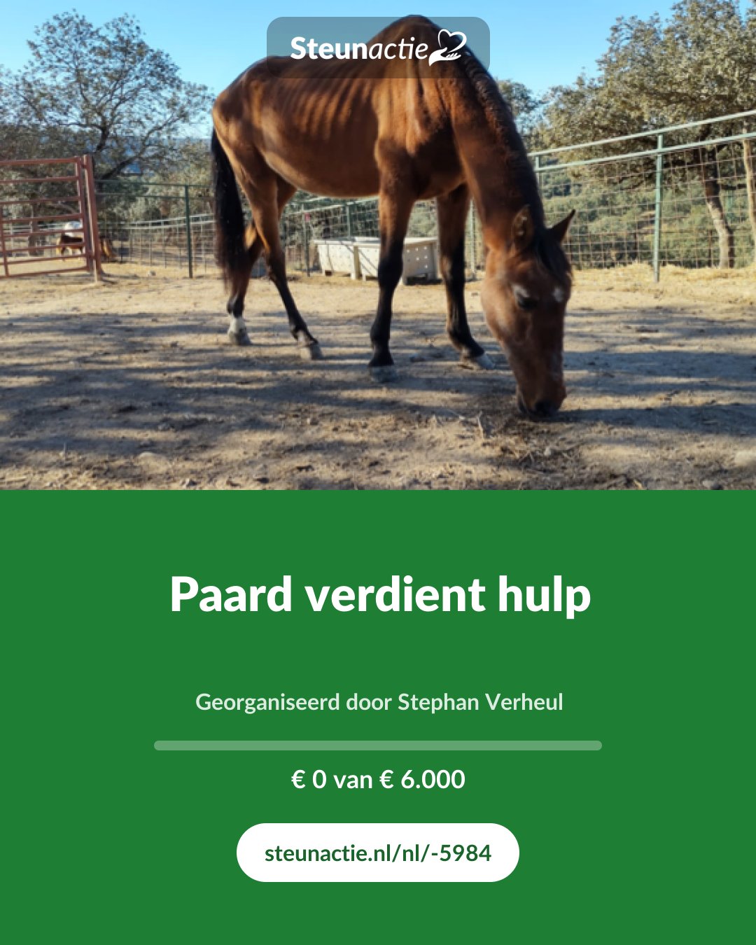 Voorbeeld van de afbeelding