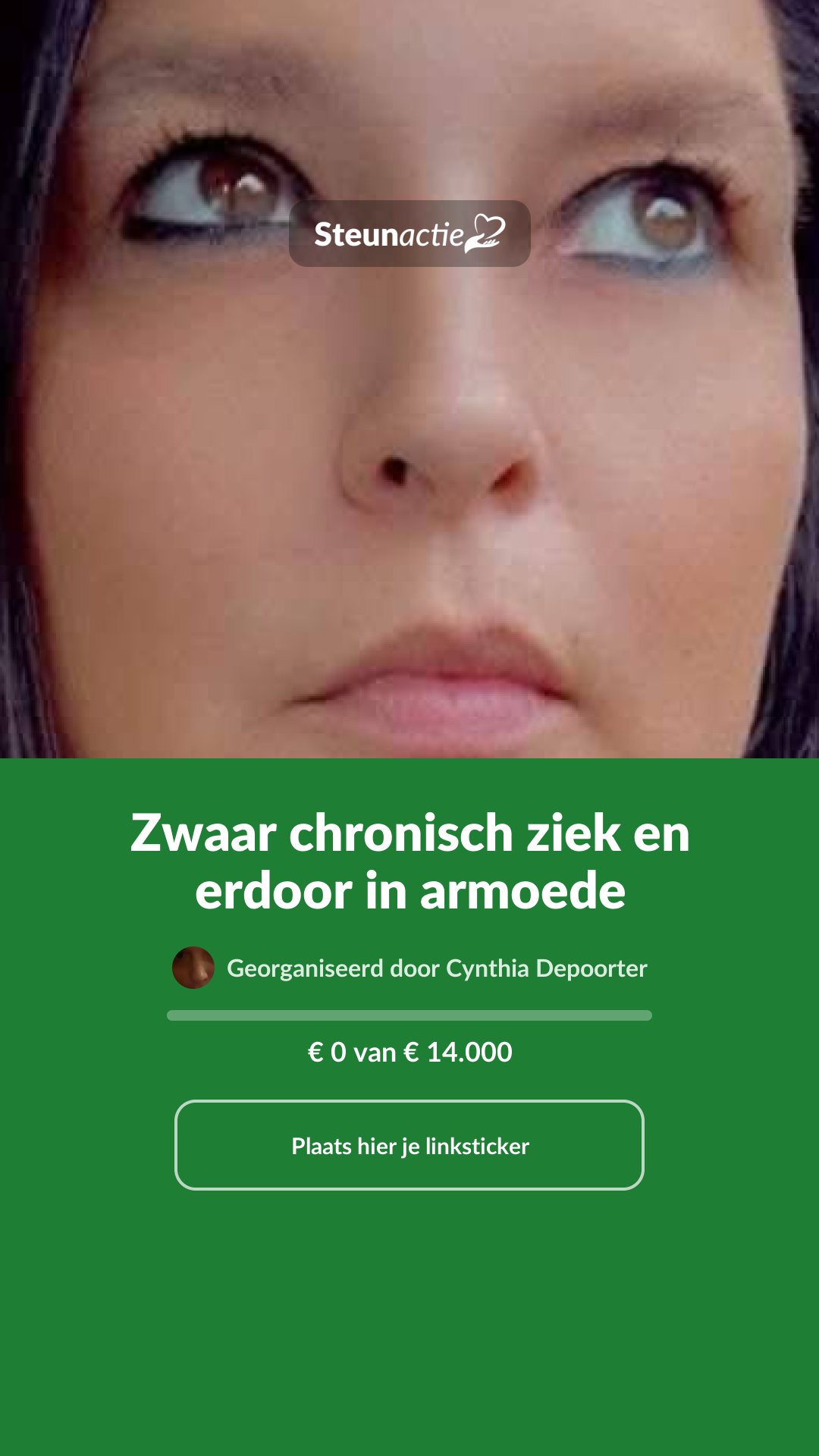 Voorbeeld van de afbeelding