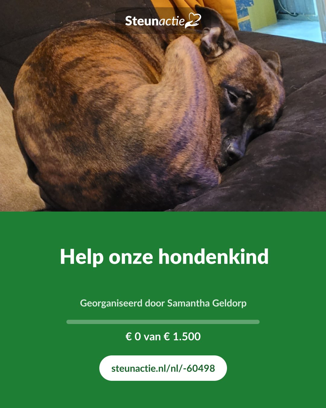 Voorbeeld van de afbeelding