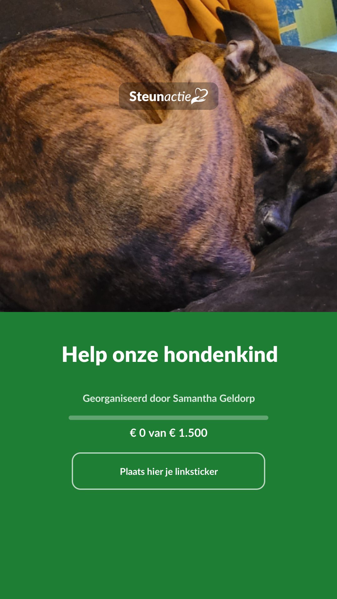 Voorbeeld van de afbeelding