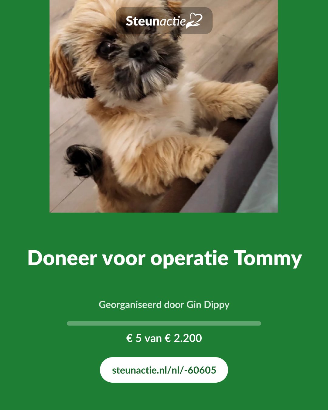 Voorbeeld van de afbeelding