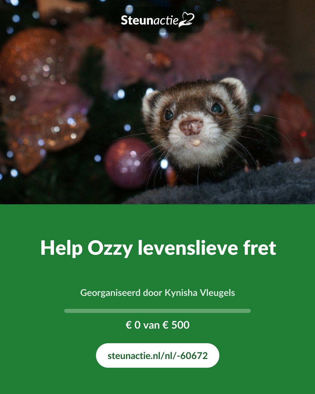 Voorbeeld van de afbeelding
