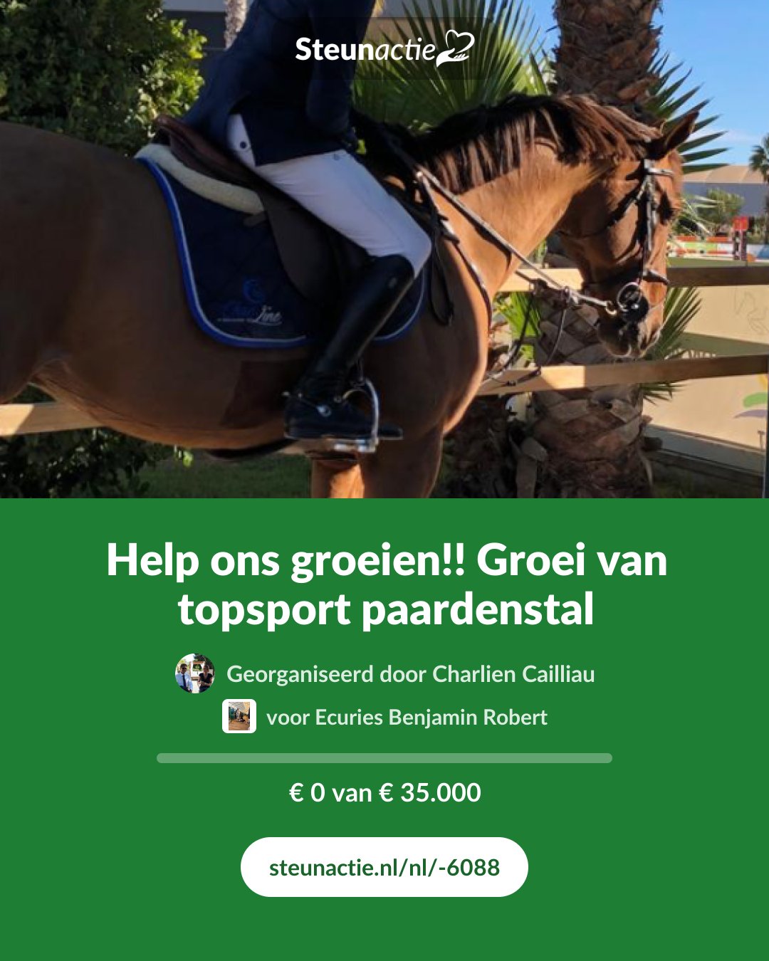 Voorbeeld van de afbeelding