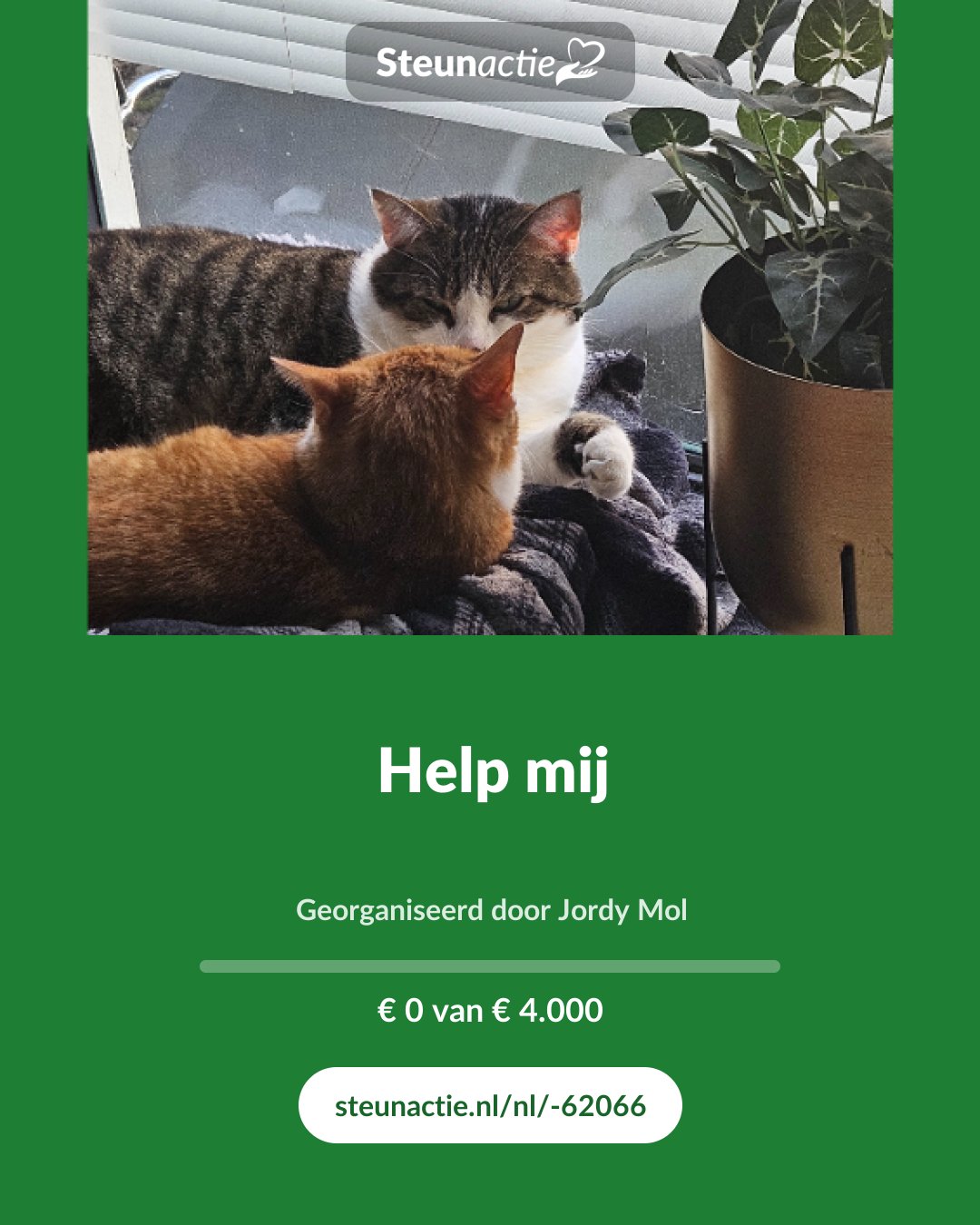 Voorbeeld van de afbeelding