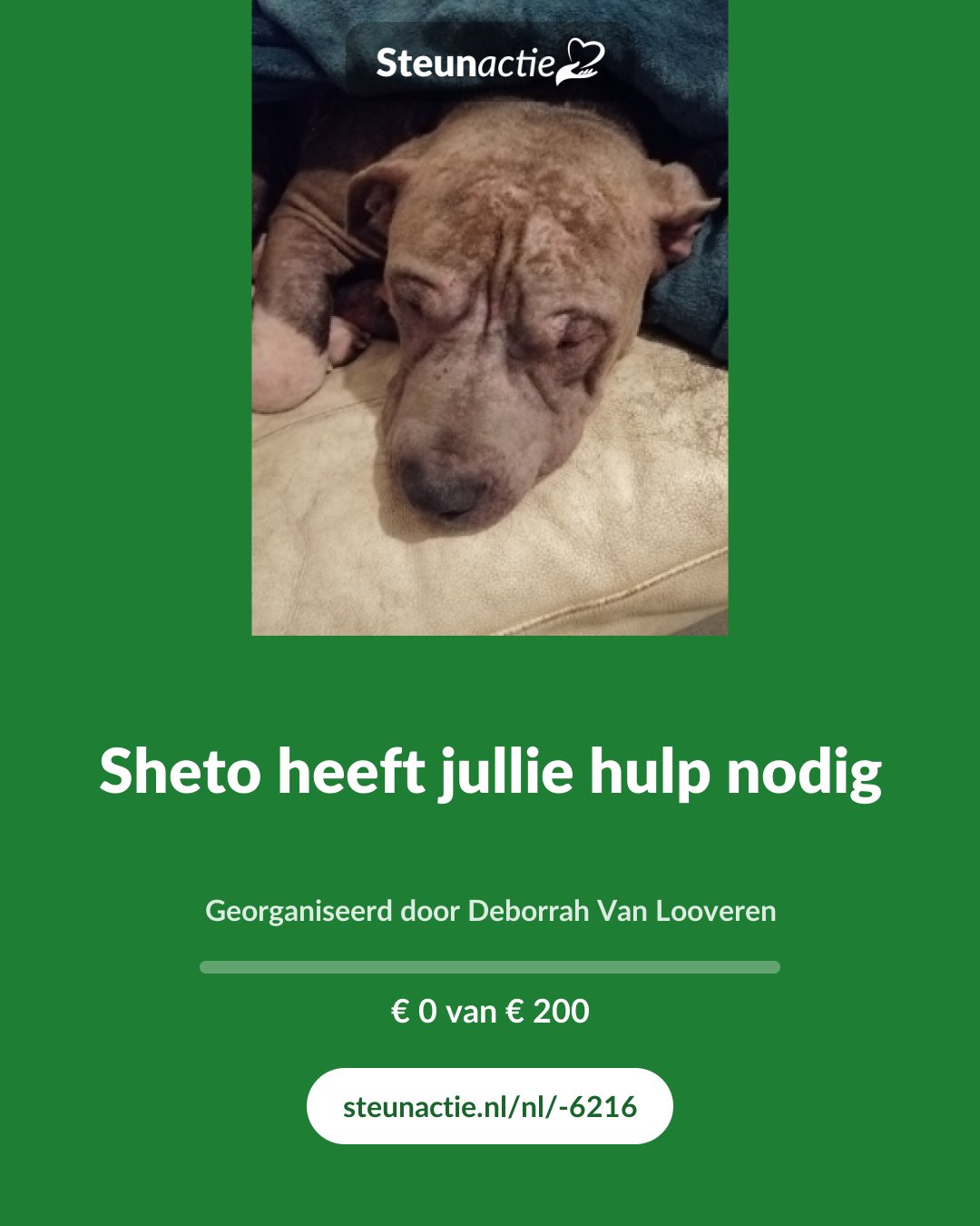 Voorbeeld van de afbeelding