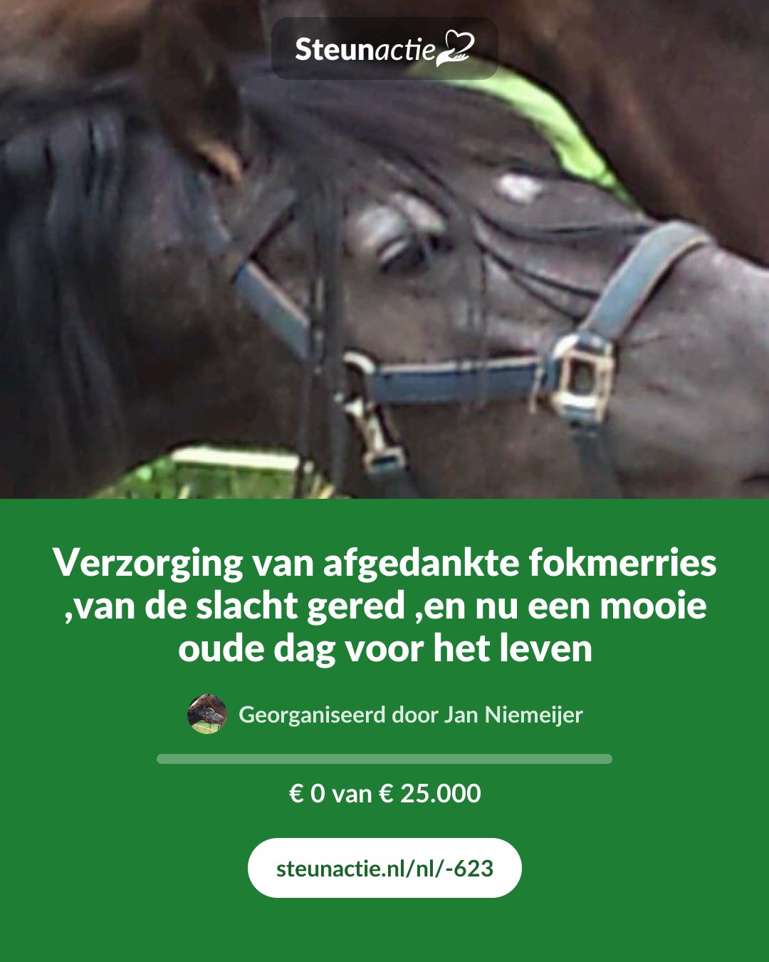 Voorbeeld van de afbeelding
