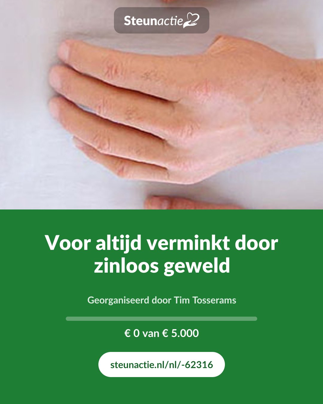 Voorbeeld van de afbeelding