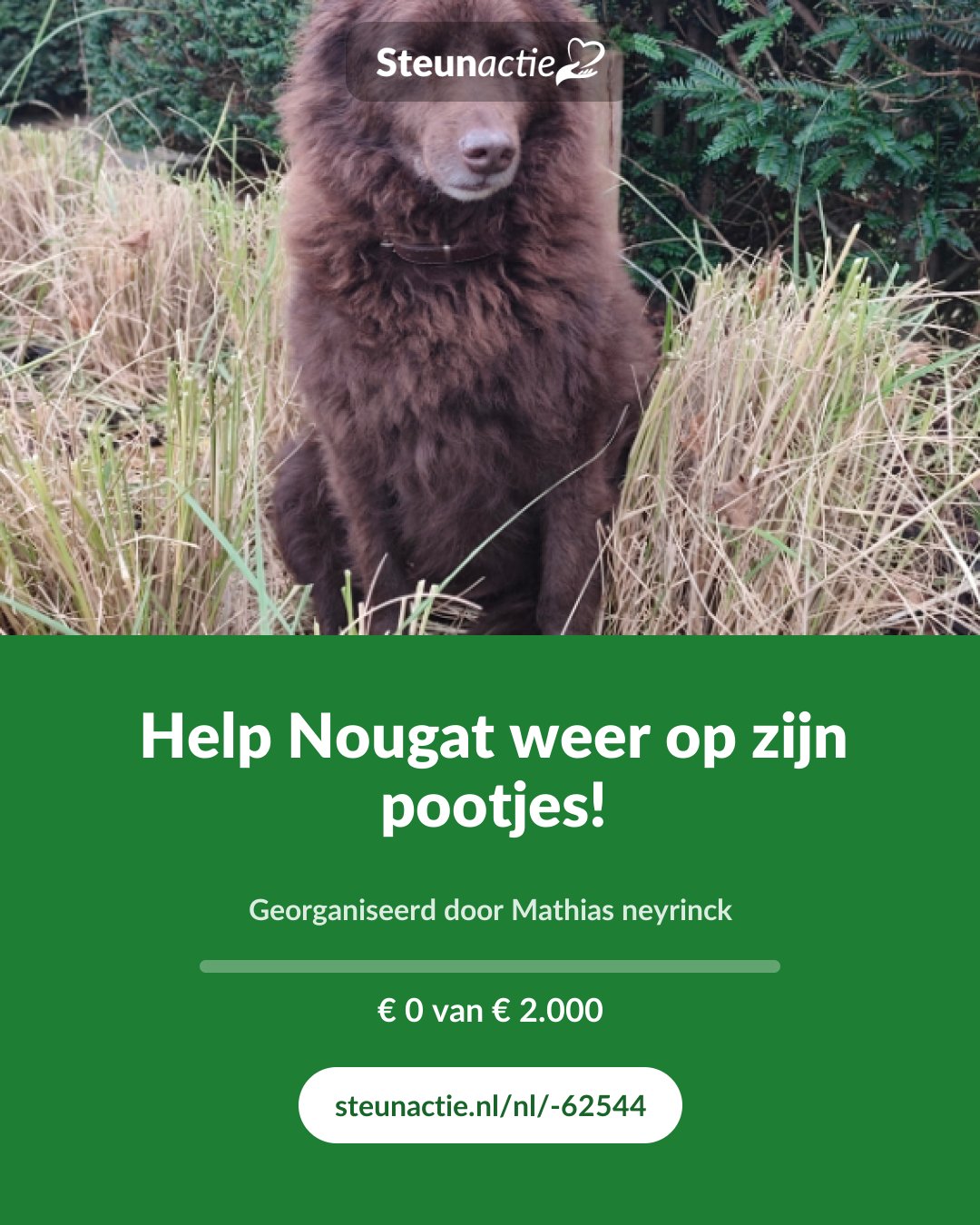 Voorbeeld van de afbeelding