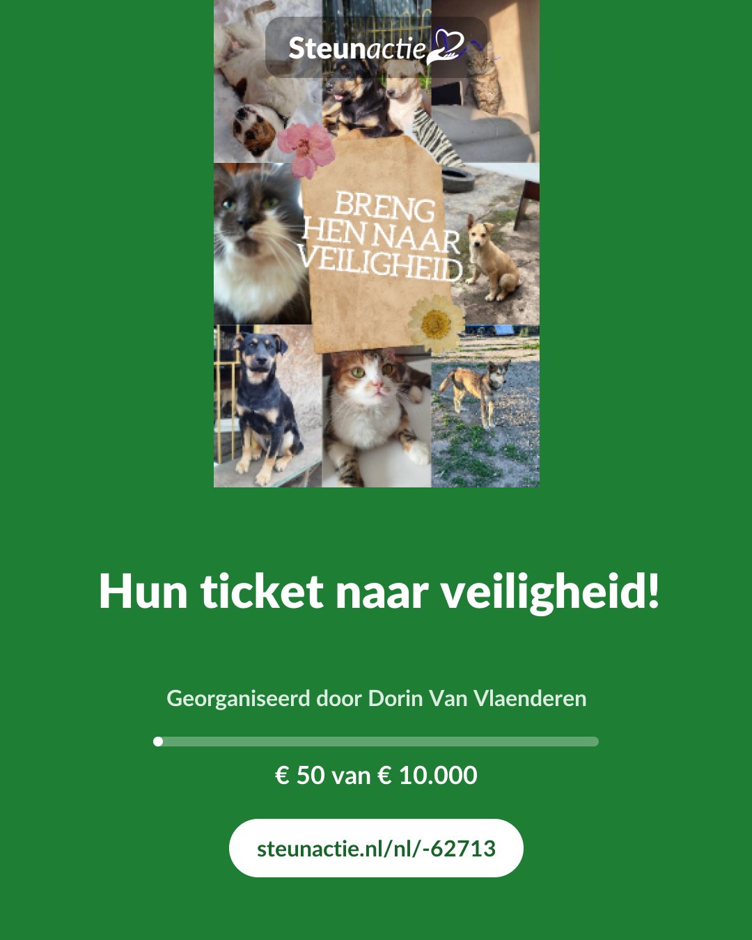 Voorbeeld van de afbeelding