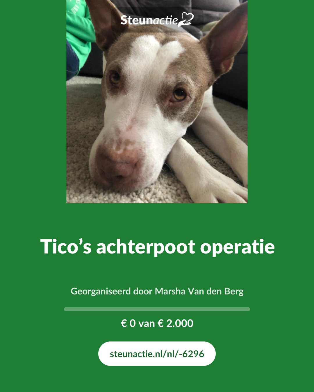 Voorbeeld van de afbeelding