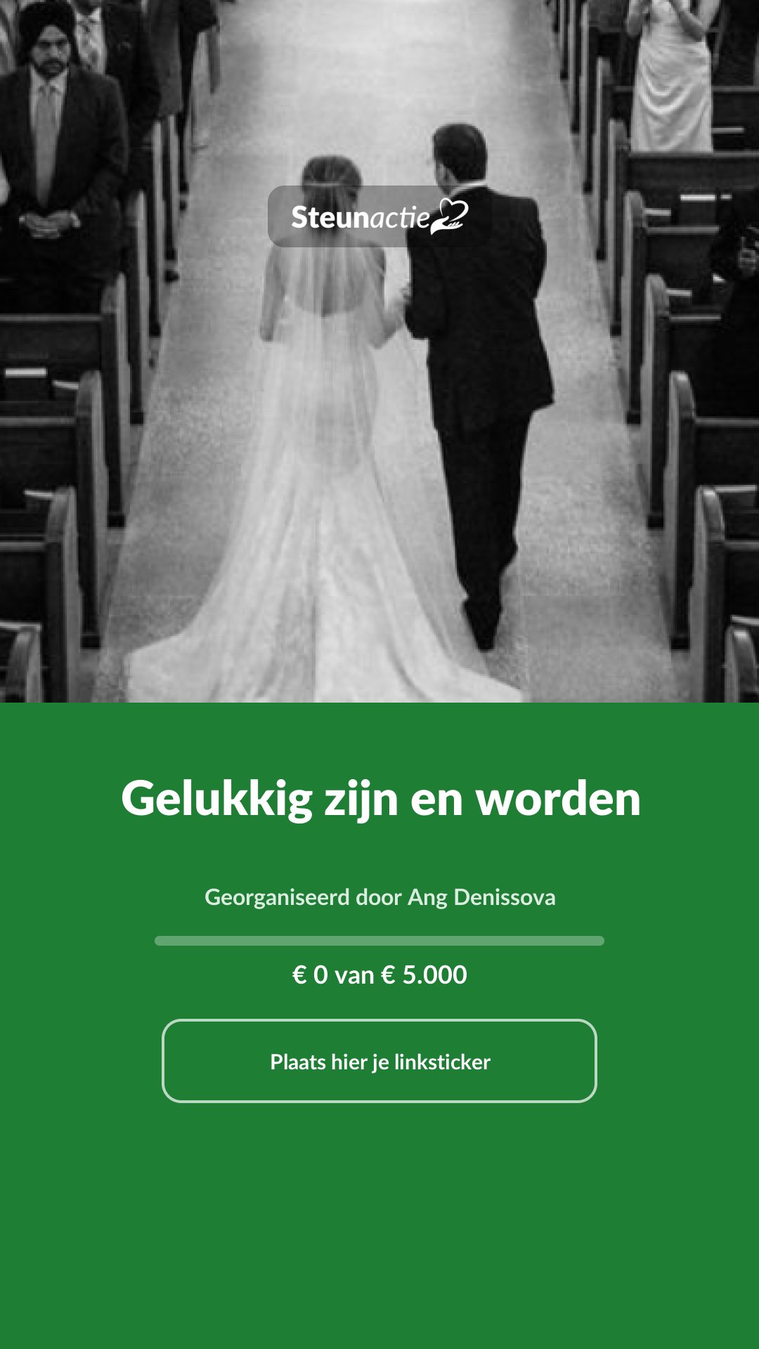 Voorbeeld van de afbeelding