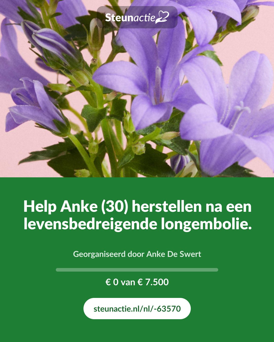 Voorbeeld van de afbeelding