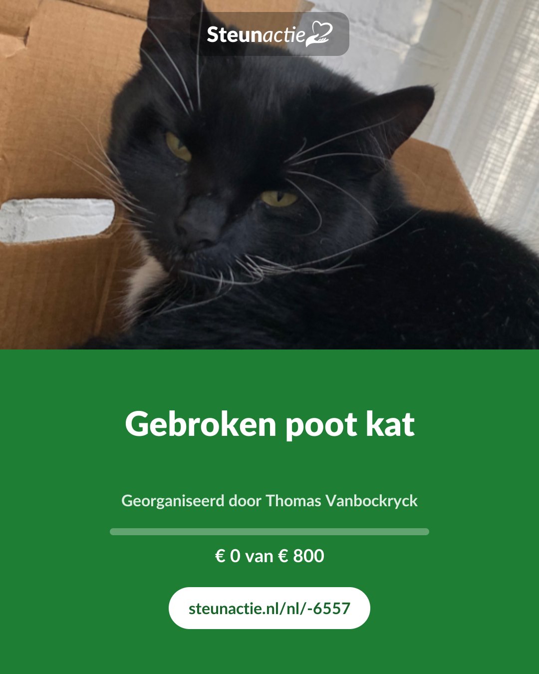 Voorbeeld van de afbeelding