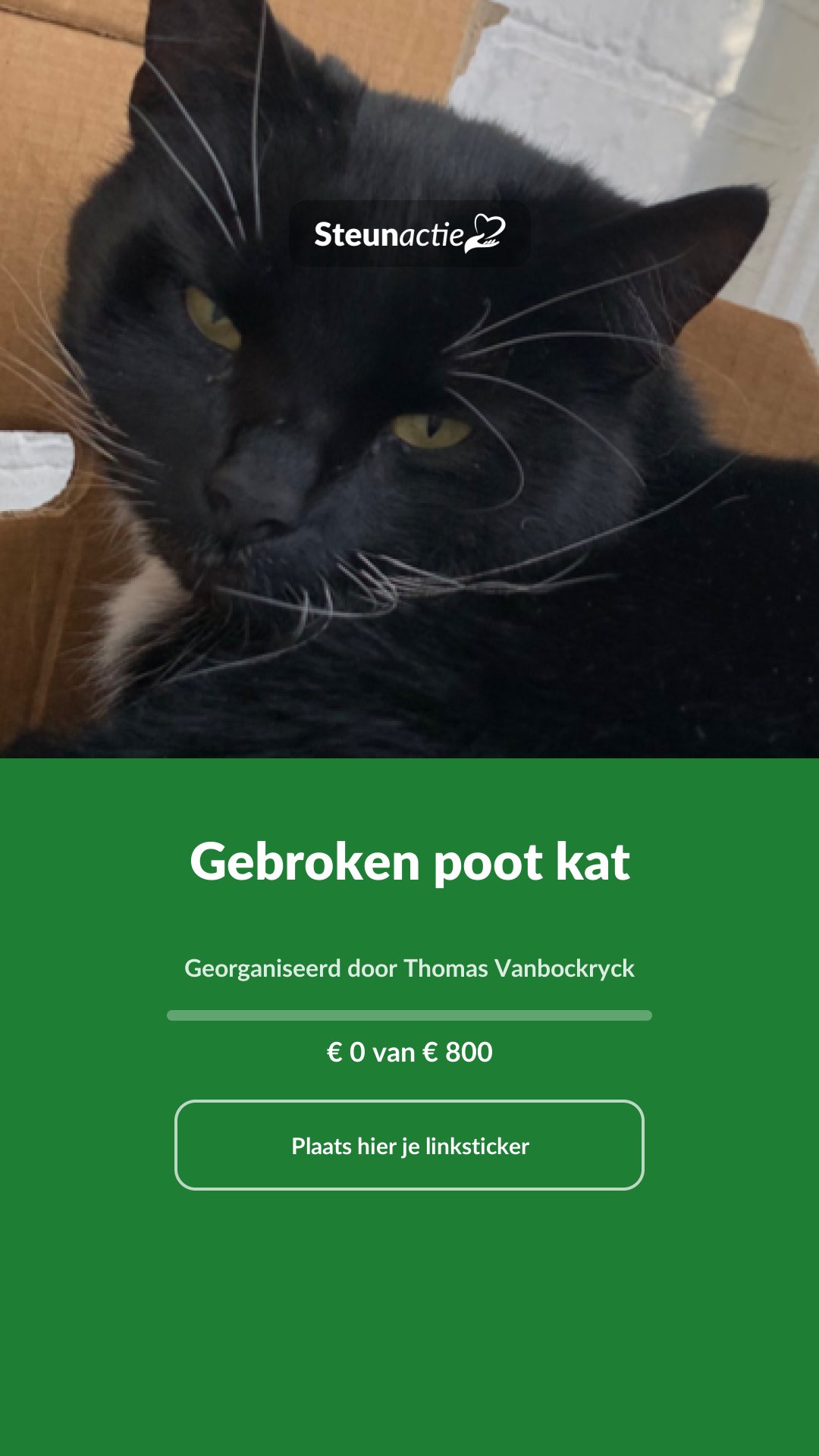 Voorbeeld van de afbeelding