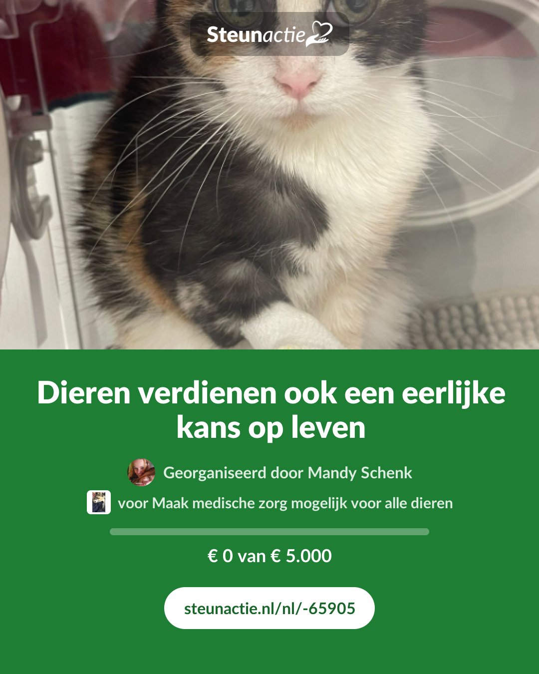 Voorbeeld van de afbeelding
