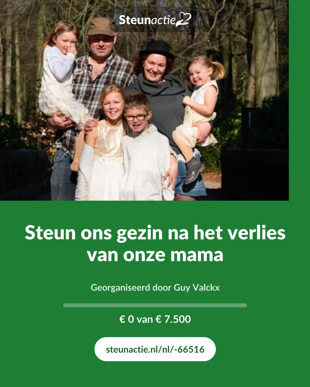 Voorbeeld van de afbeelding