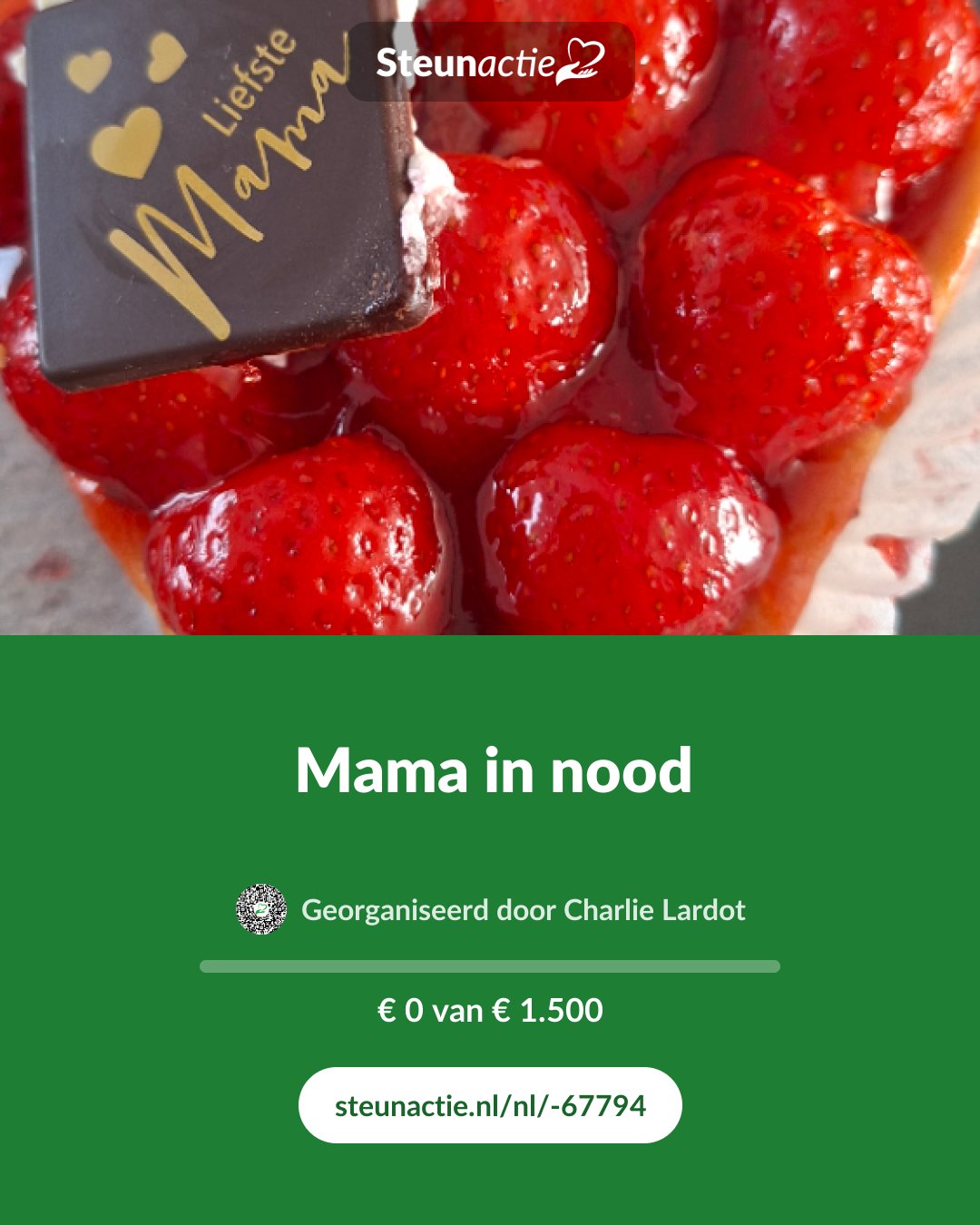 Voorbeeld van de afbeelding