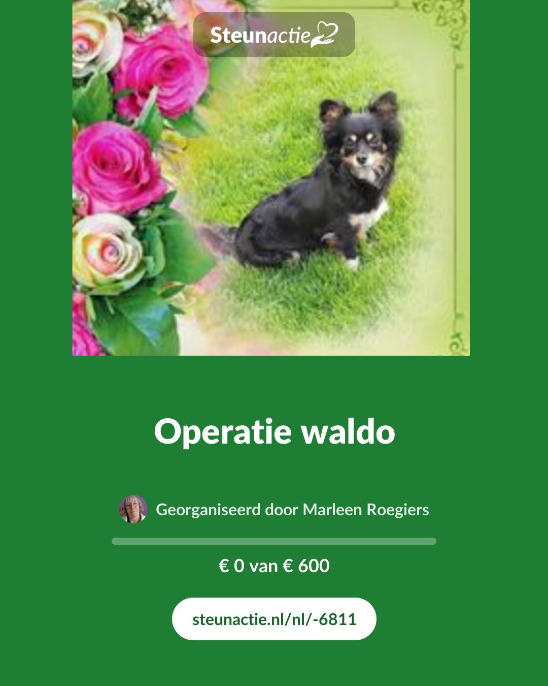 Voorbeeld van de afbeelding