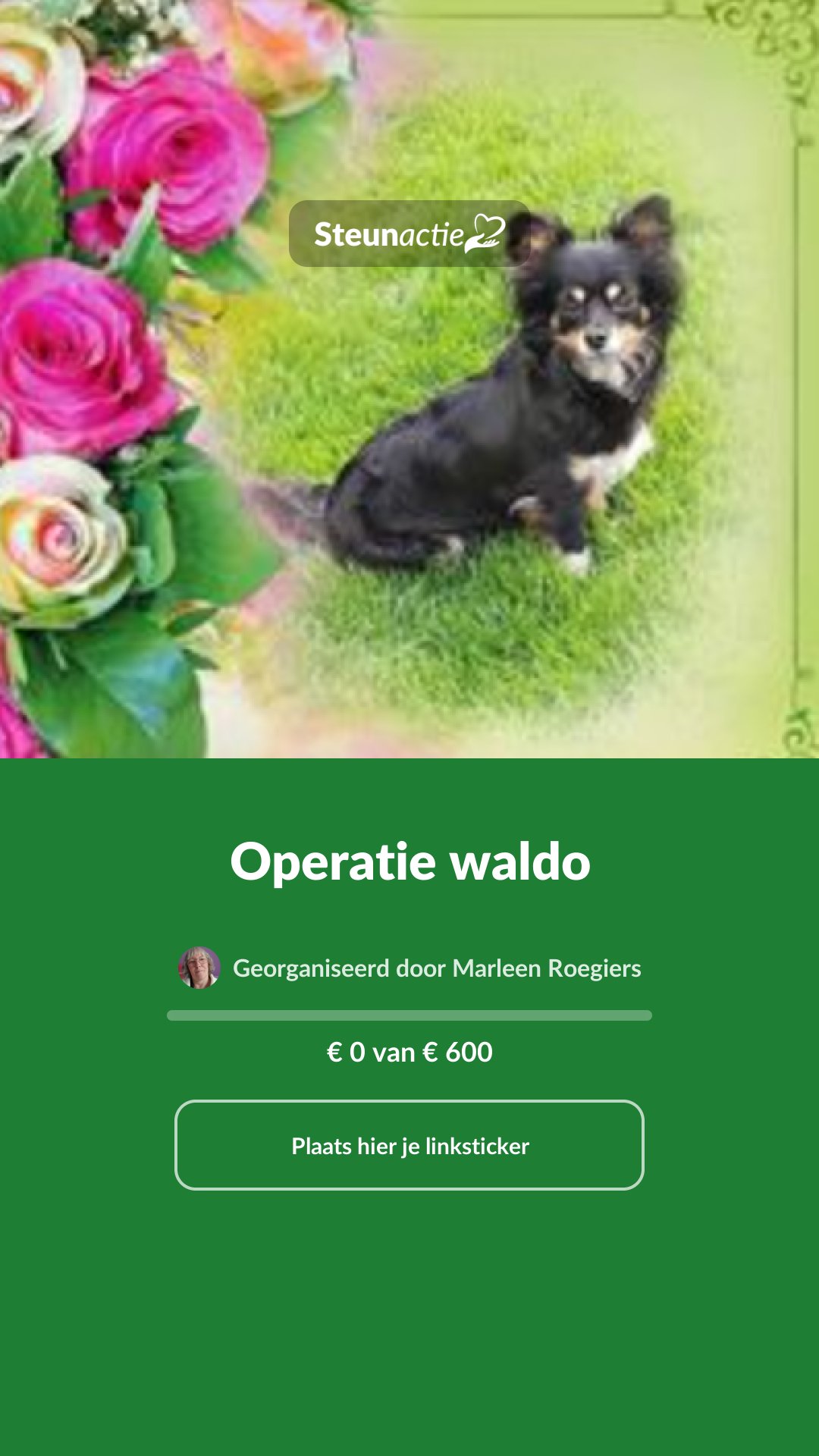 Voorbeeld van de afbeelding