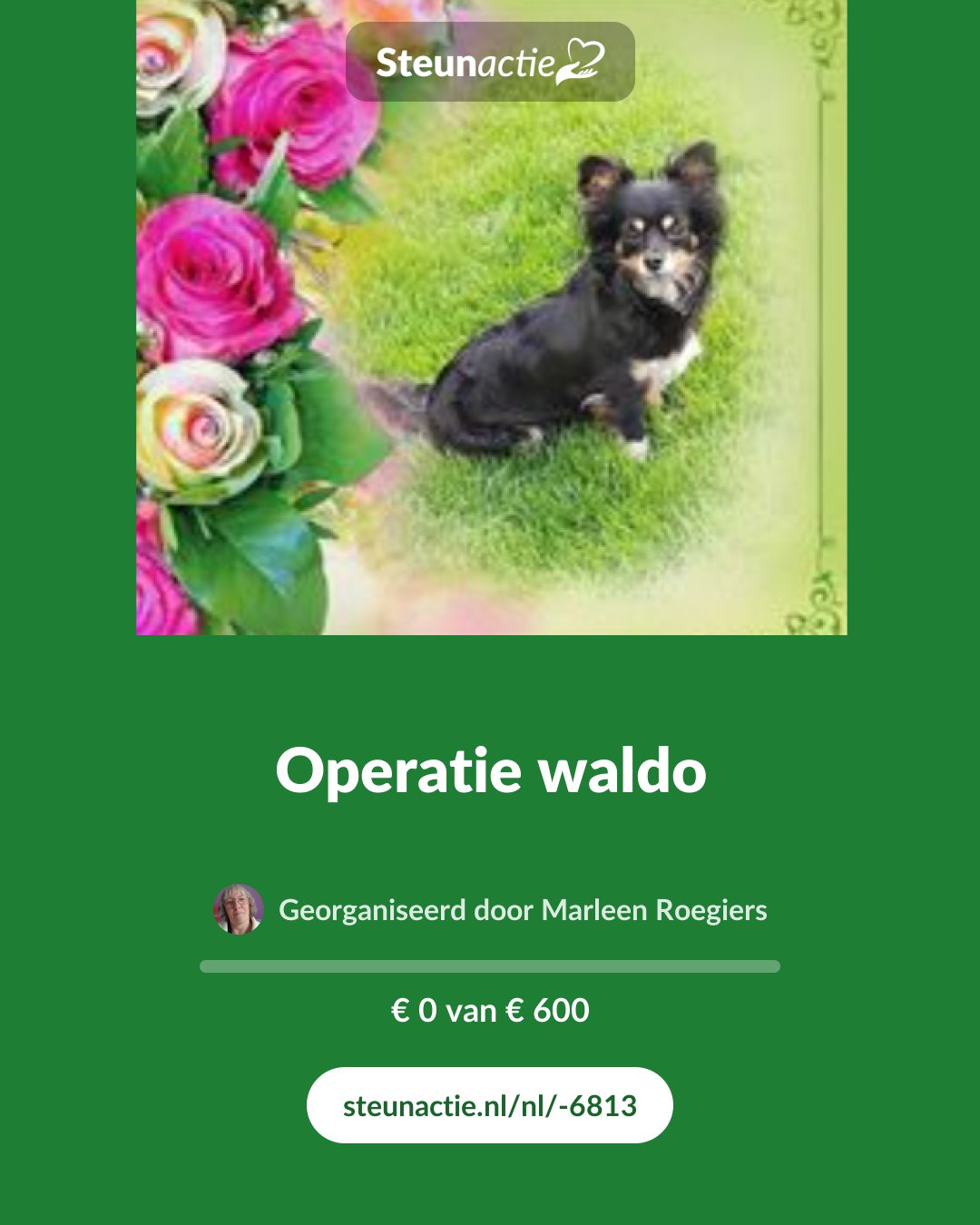 Voorbeeld van de afbeelding