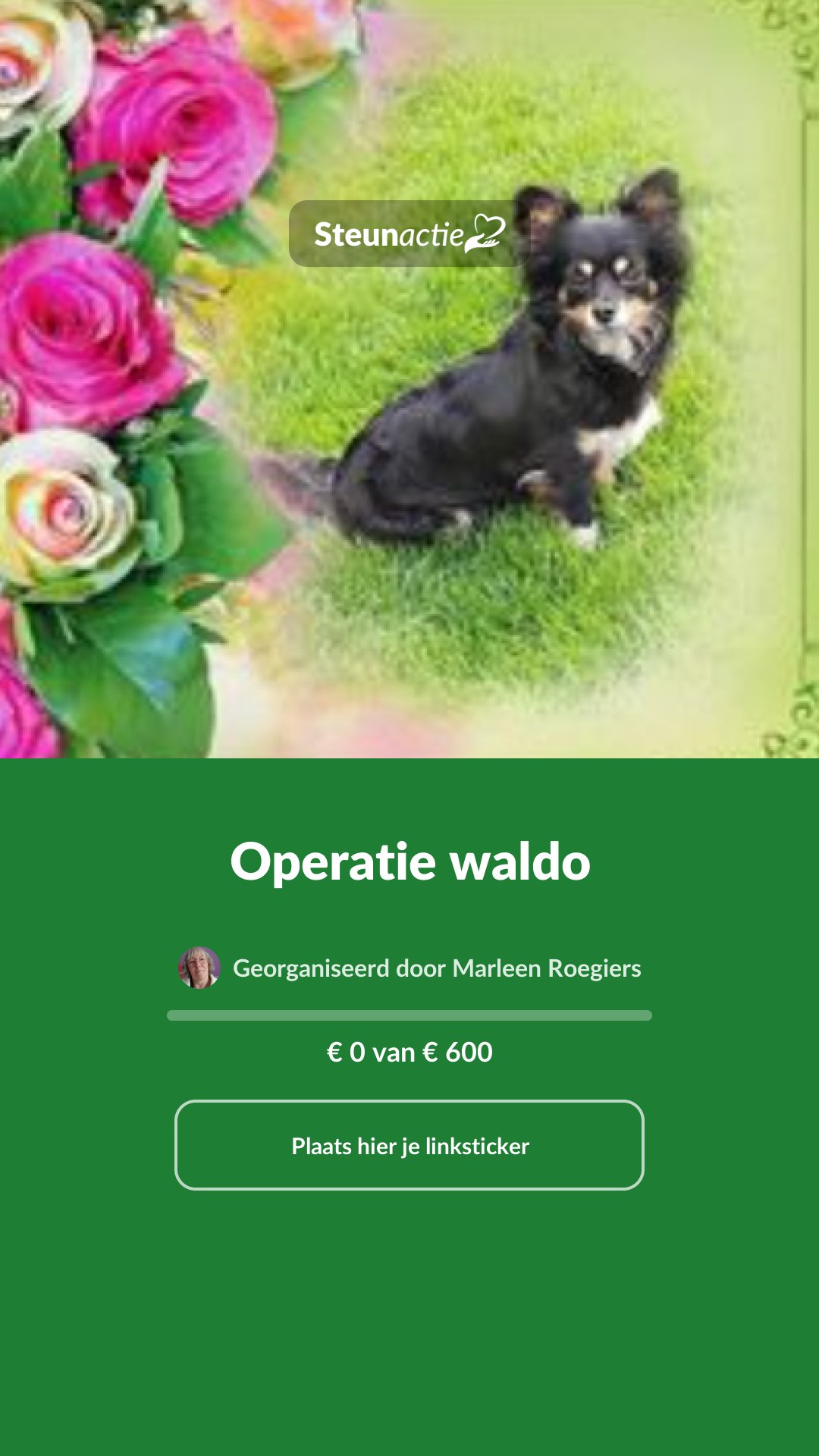 Voorbeeld van de afbeelding