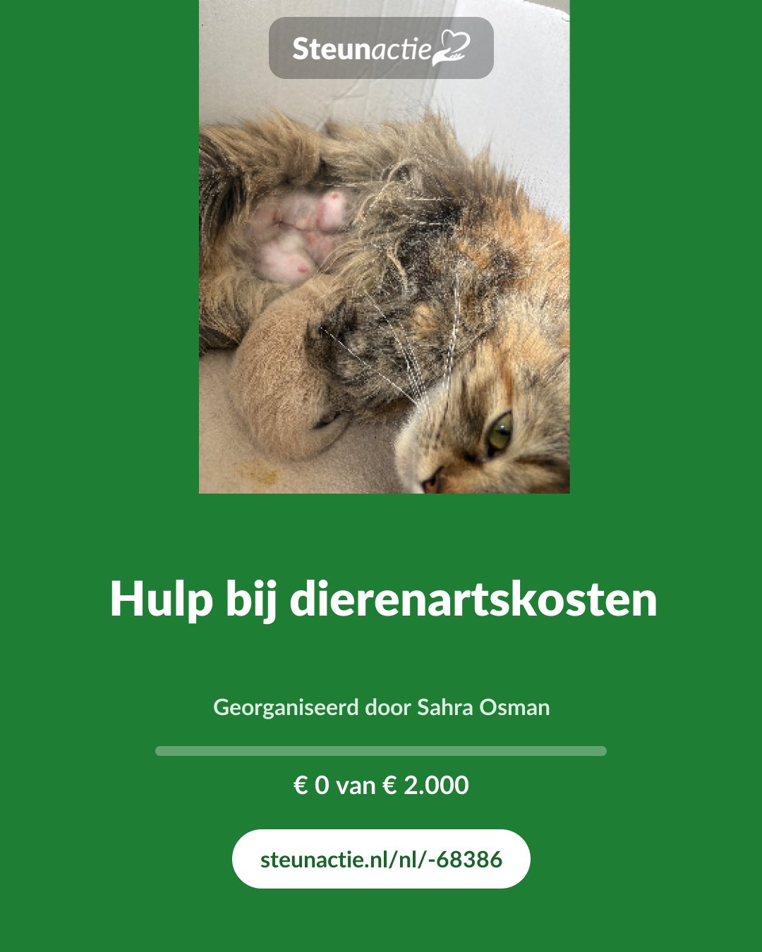 Voorbeeld van de afbeelding