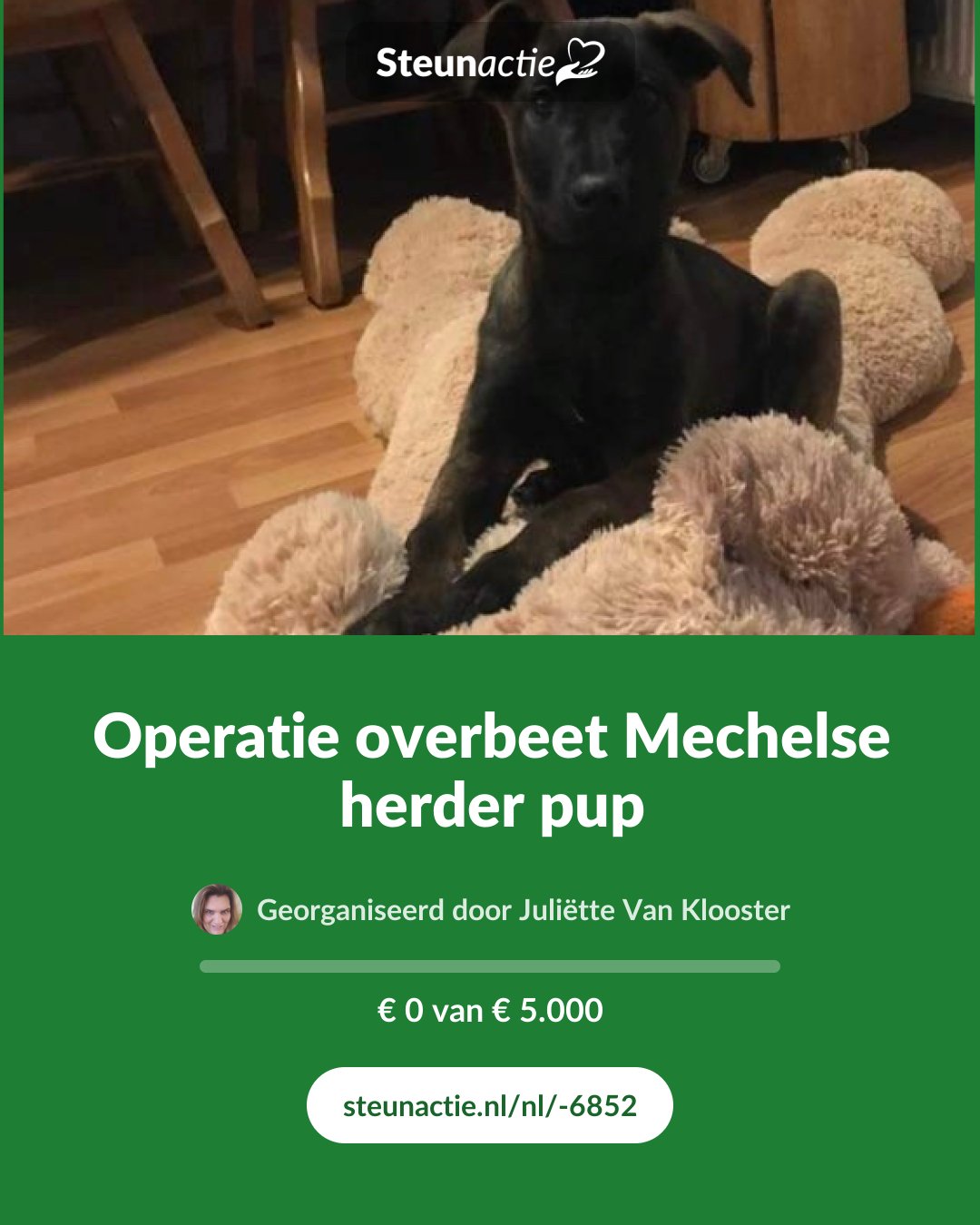 Voorbeeld van de afbeelding