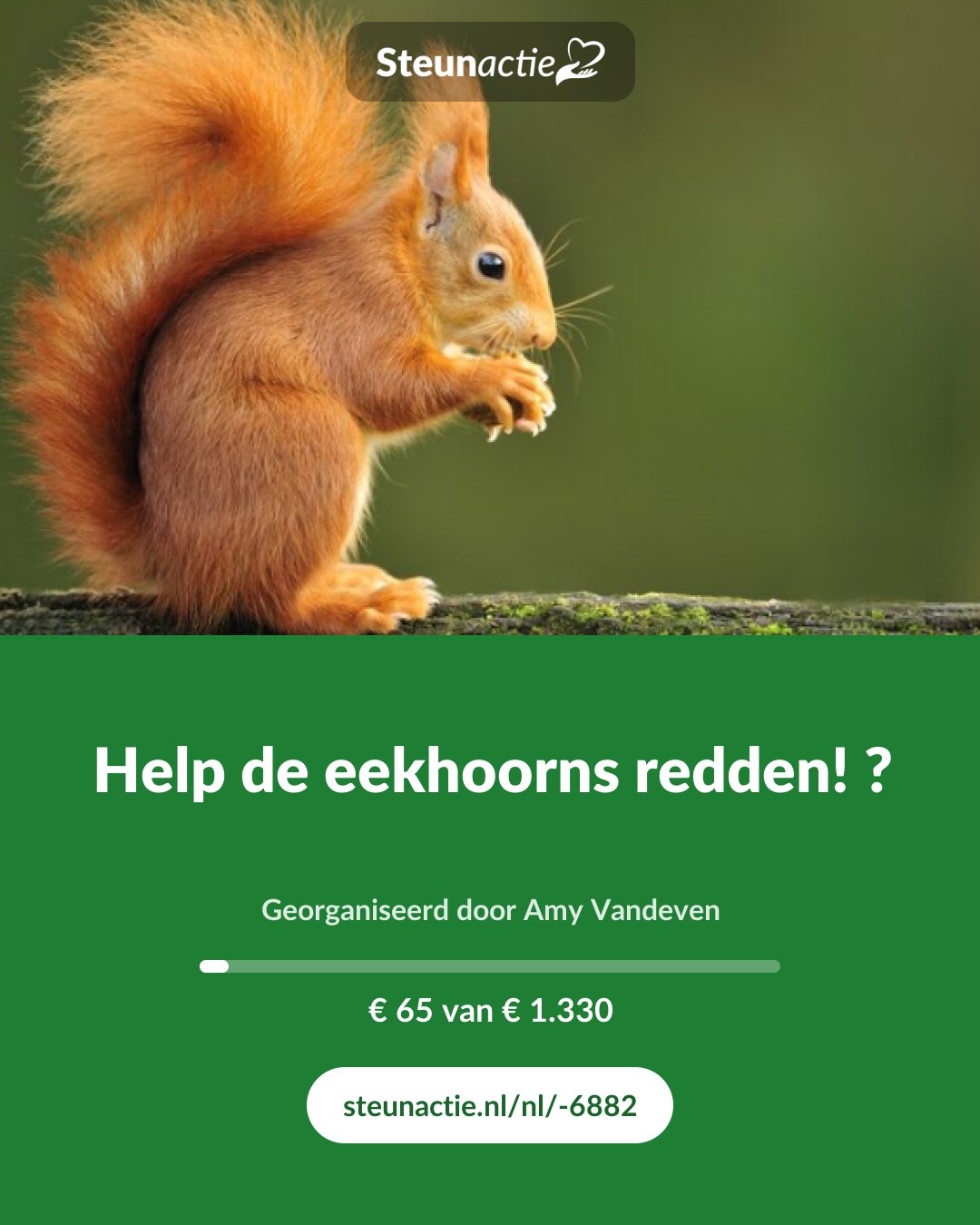 Voorbeeld van de afbeelding