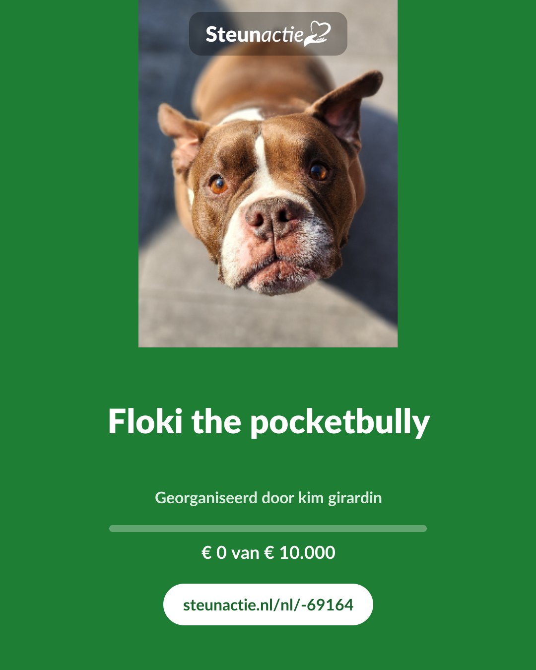 Voorbeeld van de afbeelding