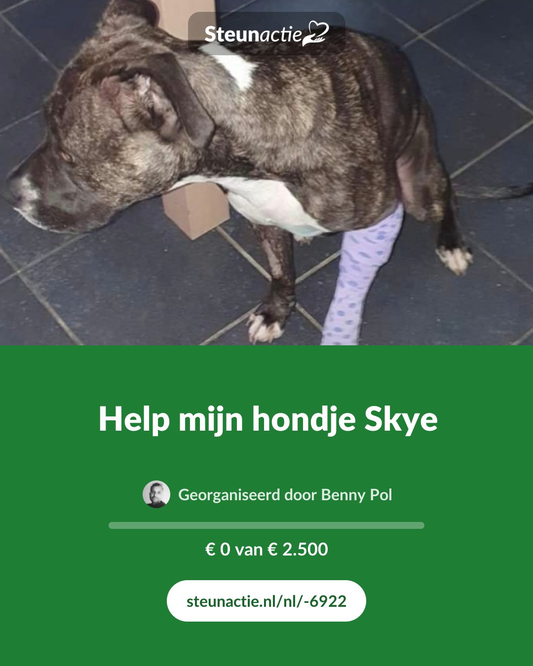 Voorbeeld van de afbeelding