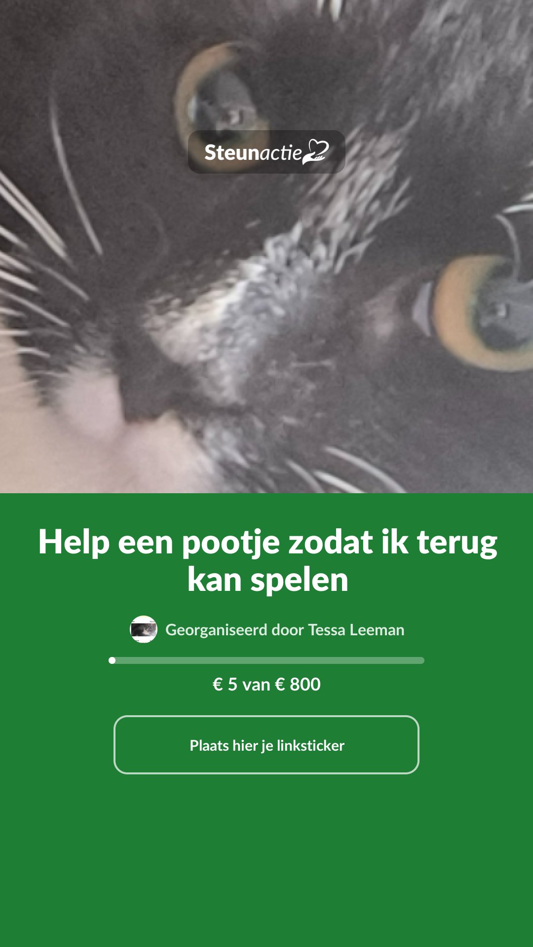 Voorbeeld van de afbeelding