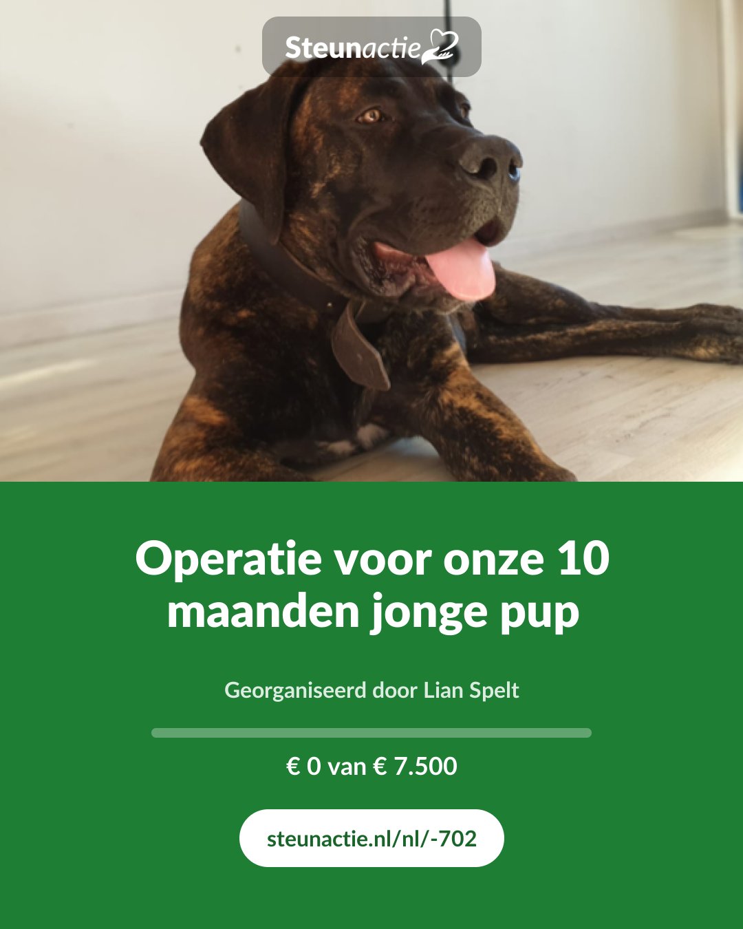 Voorbeeld van de afbeelding