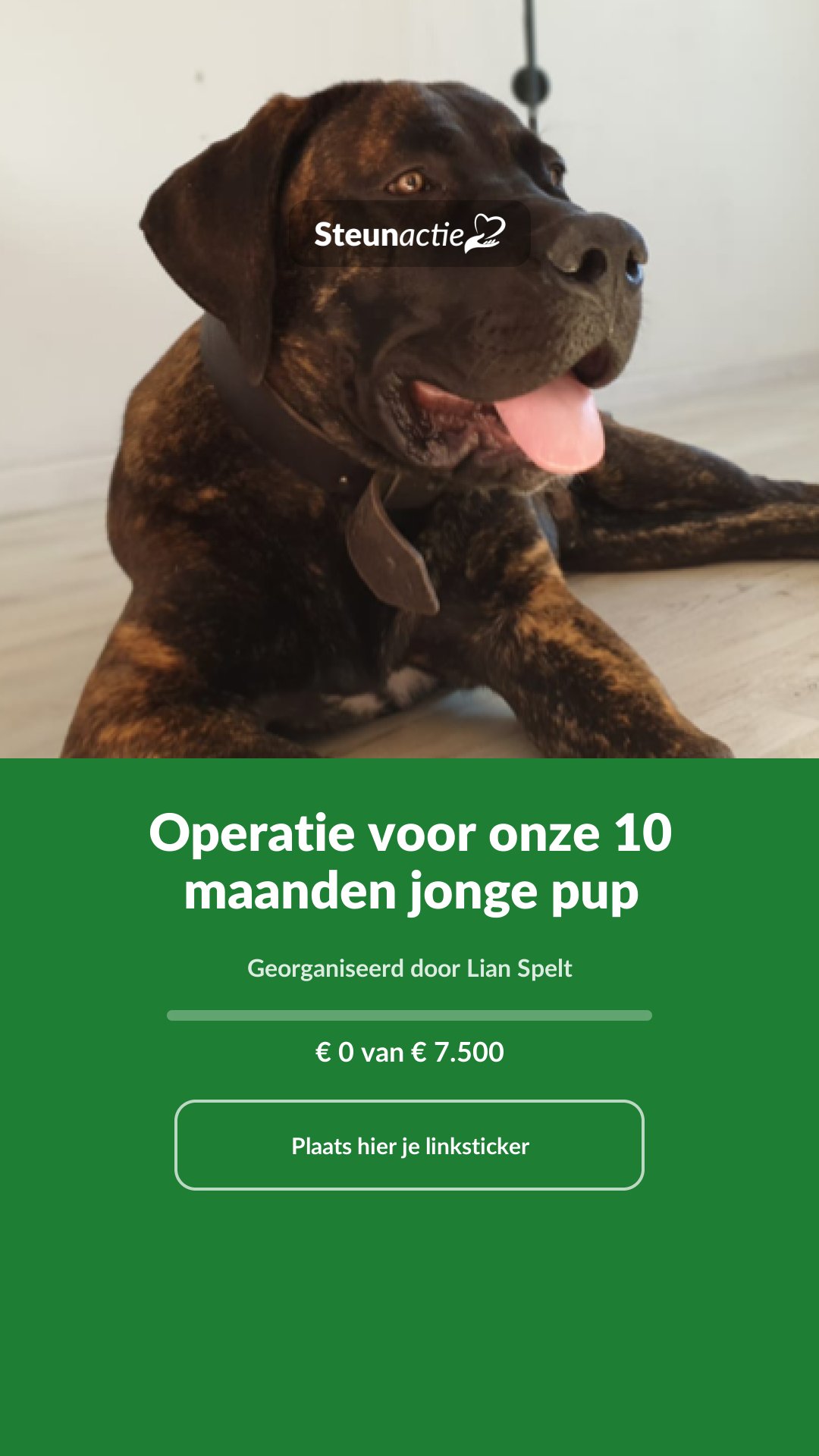 Voorbeeld van de afbeelding