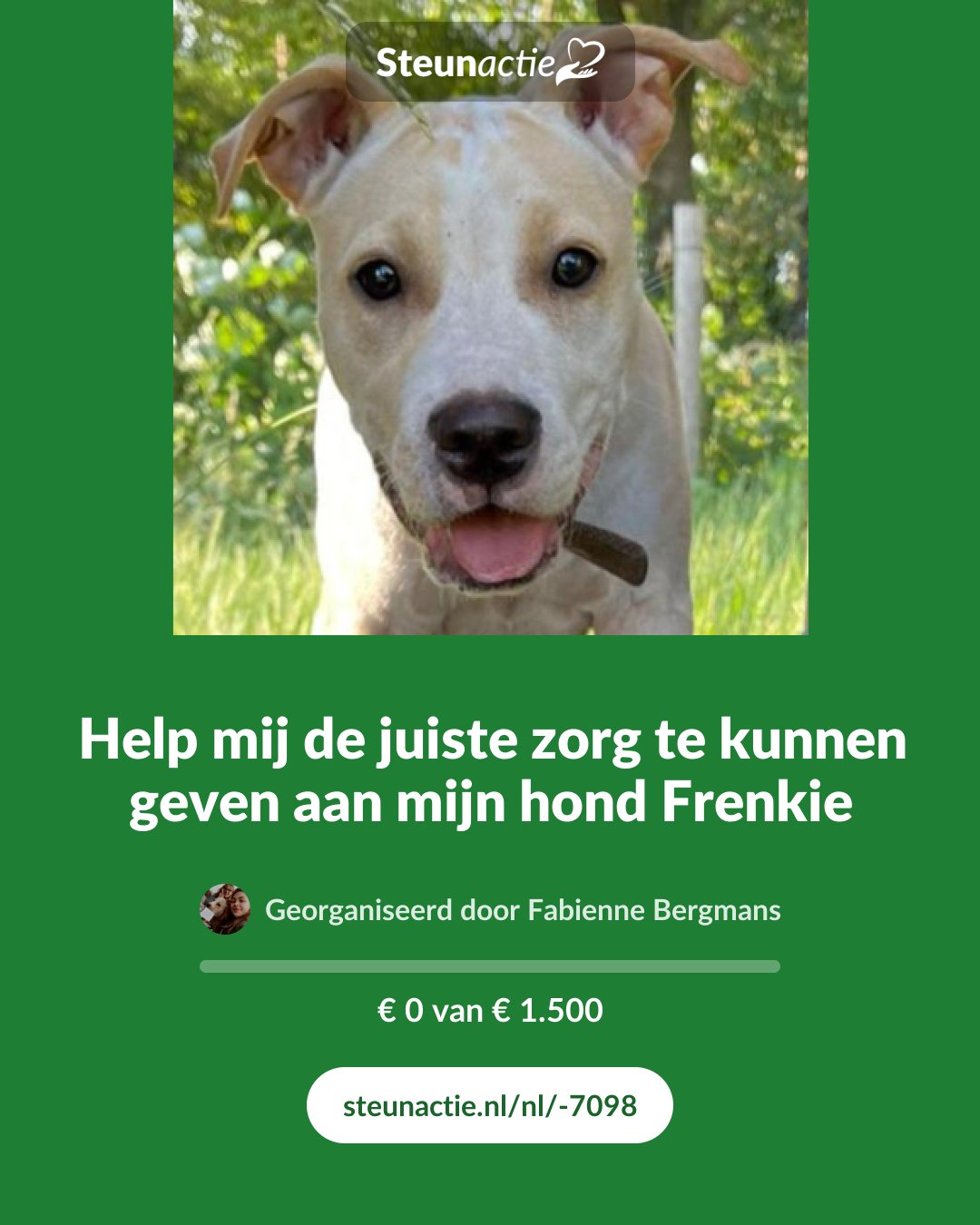 Voorbeeld van de afbeelding