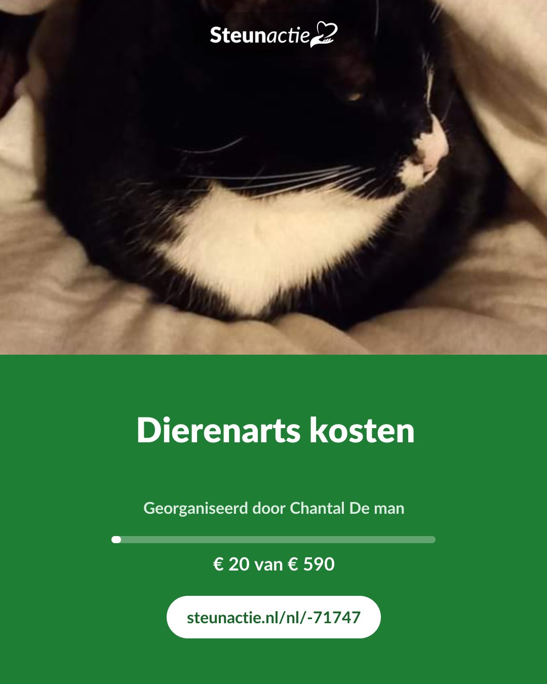 Voorbeeld van de afbeelding