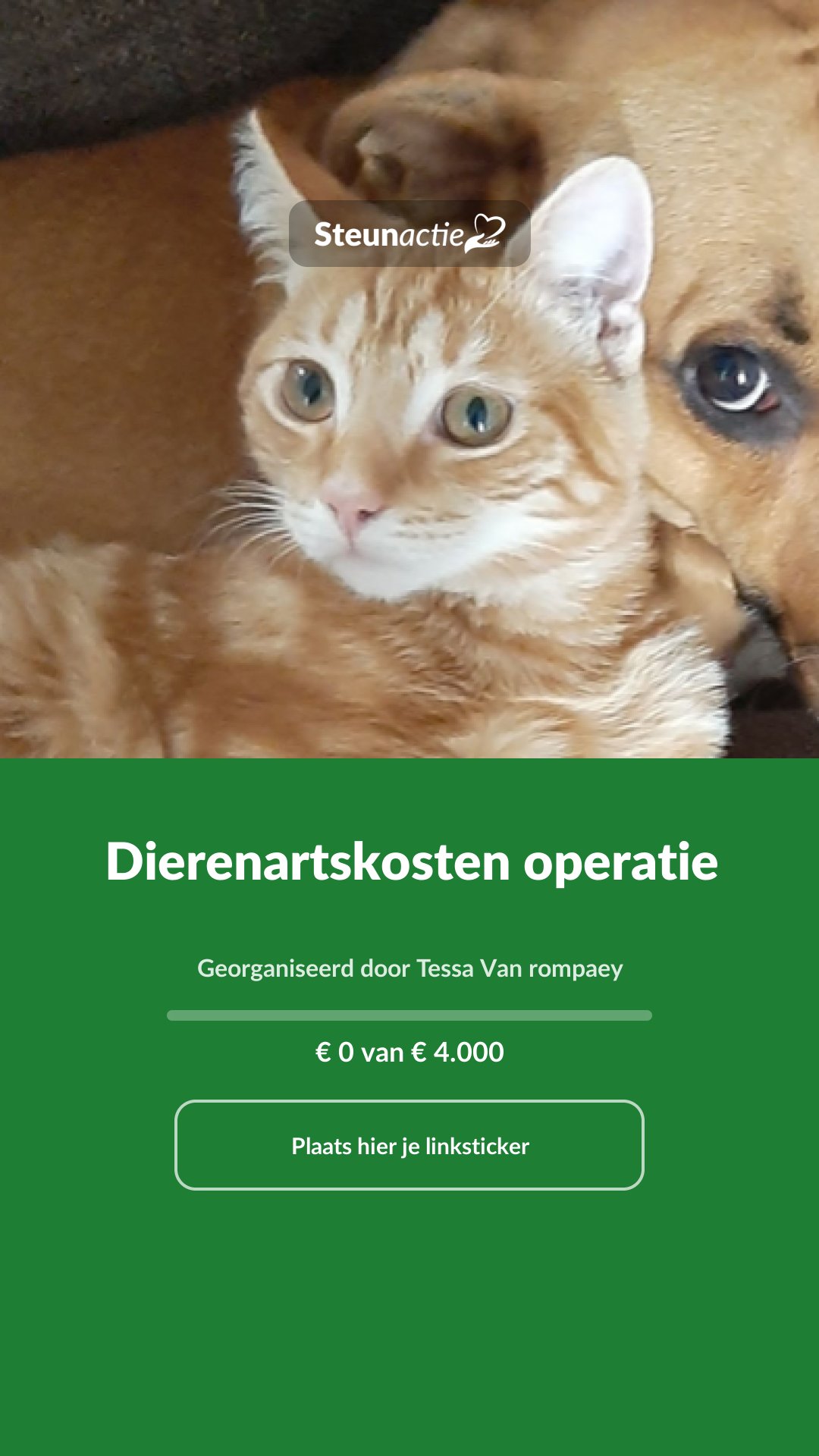 Voorbeeld van de afbeelding