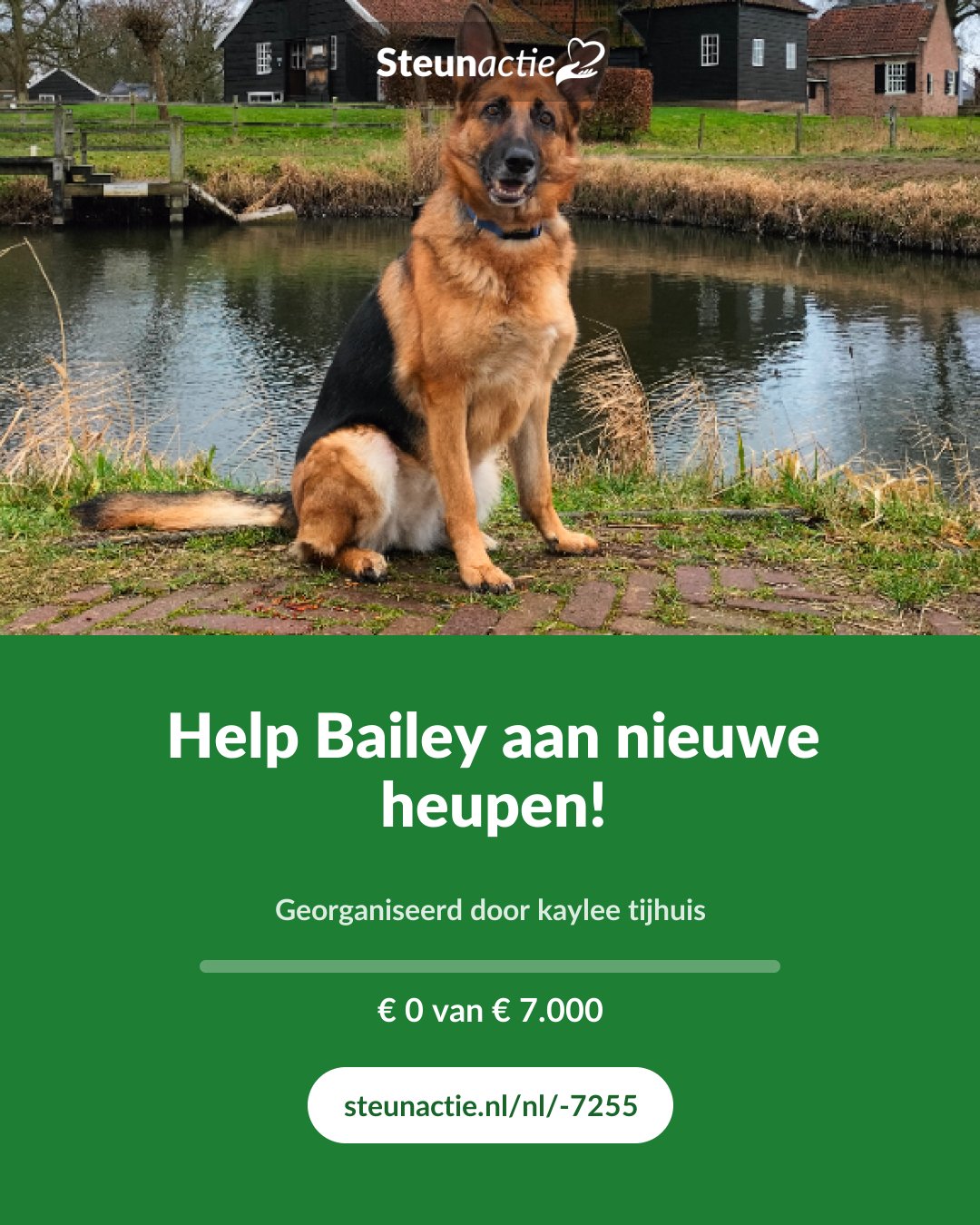 Voorbeeld van de afbeelding