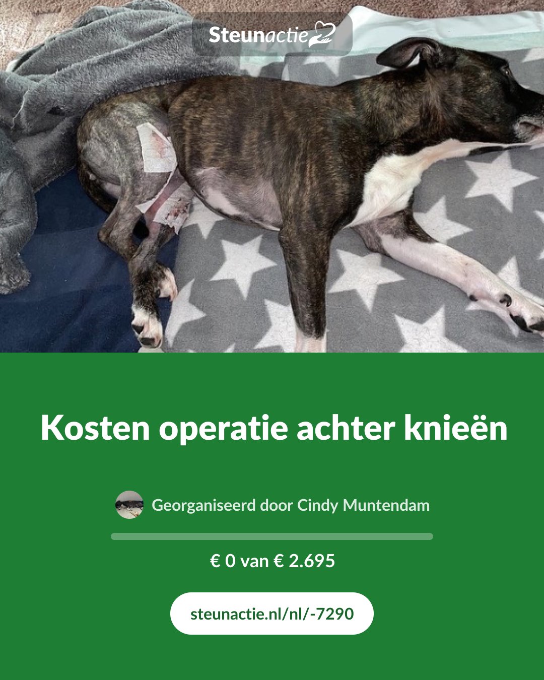 Voorbeeld van de afbeelding