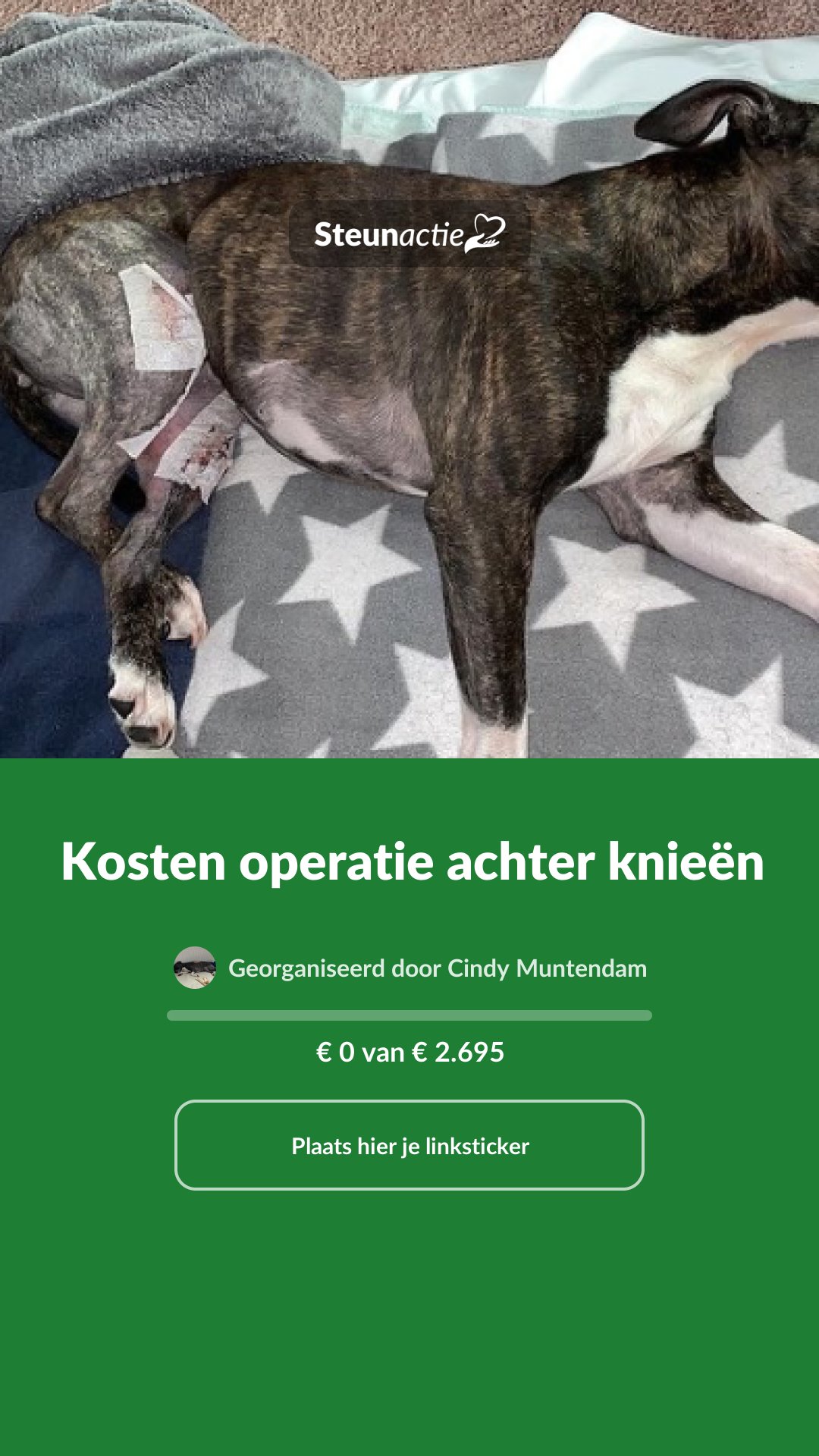 Voorbeeld van de afbeelding