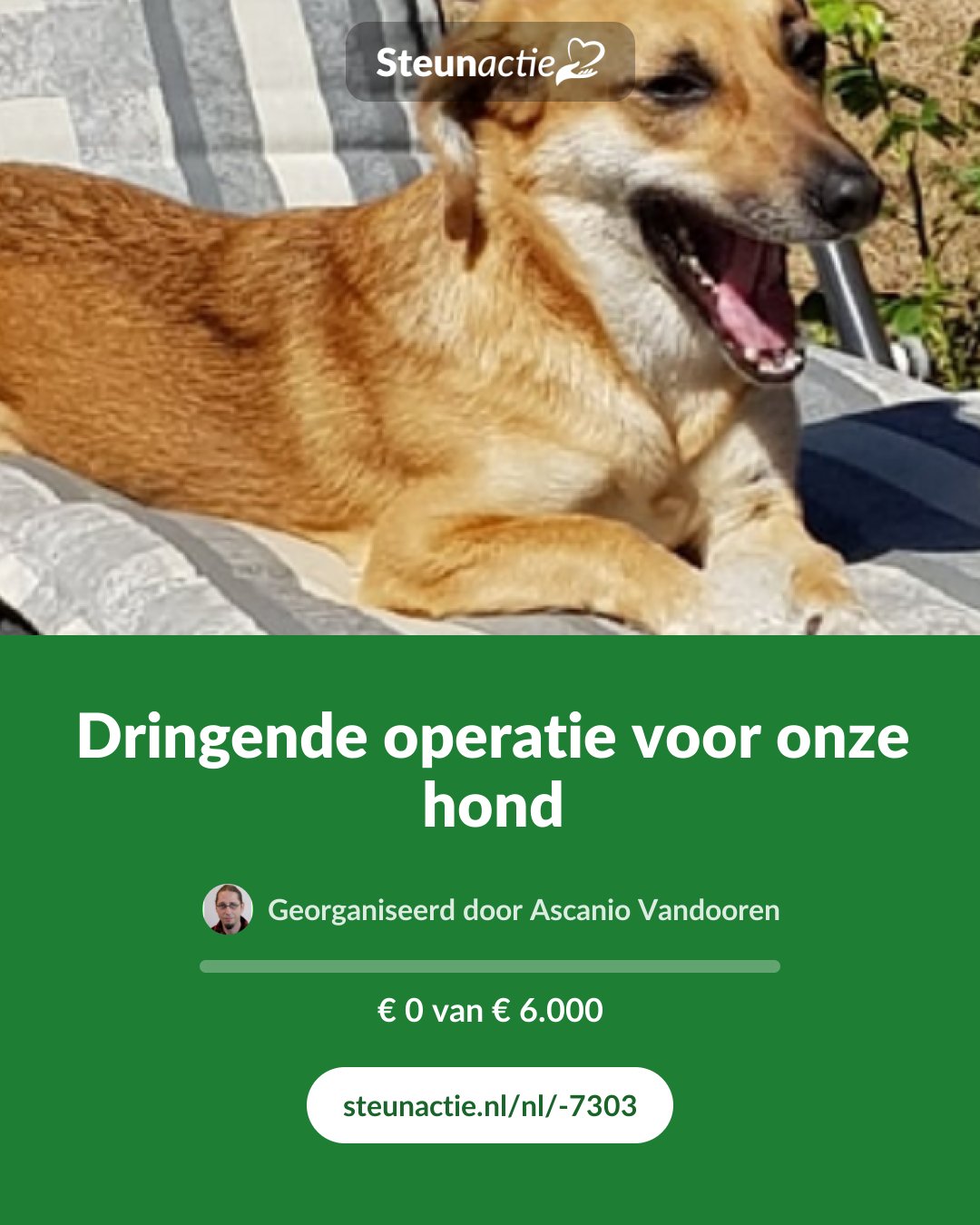 Voorbeeld van de afbeelding