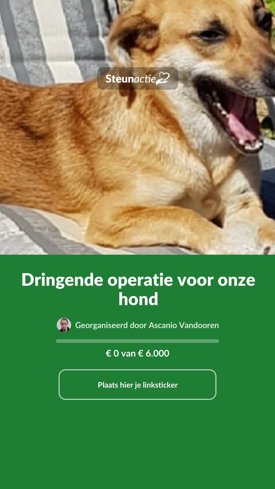 Voorbeeld van de afbeelding