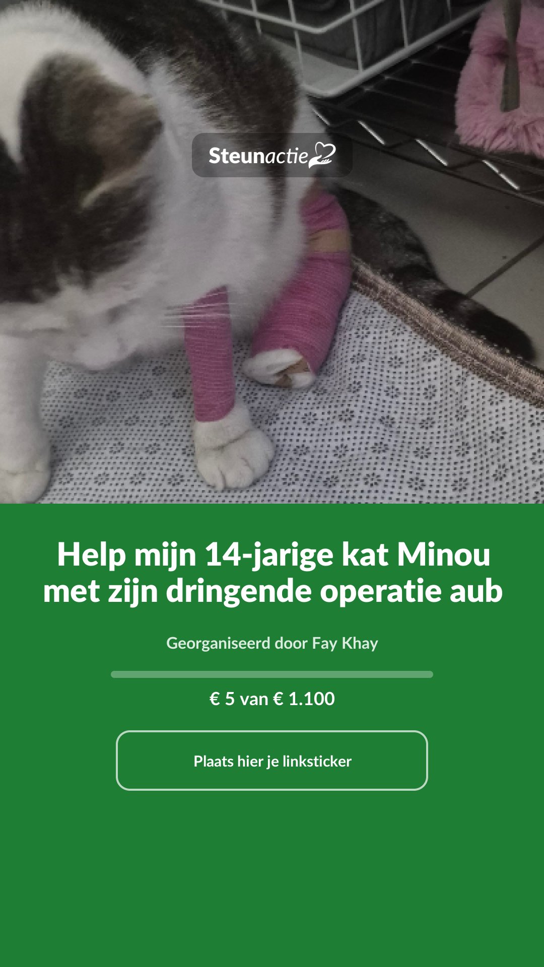 Voorbeeld van de afbeelding