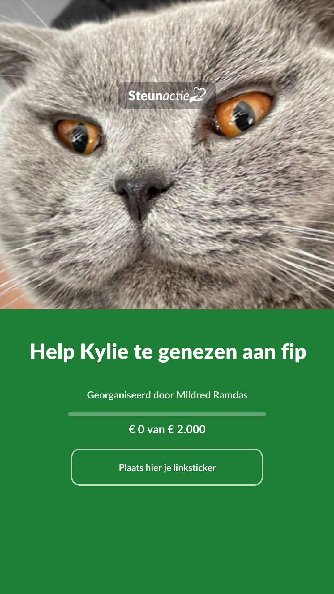 Voorbeeld van de afbeelding
