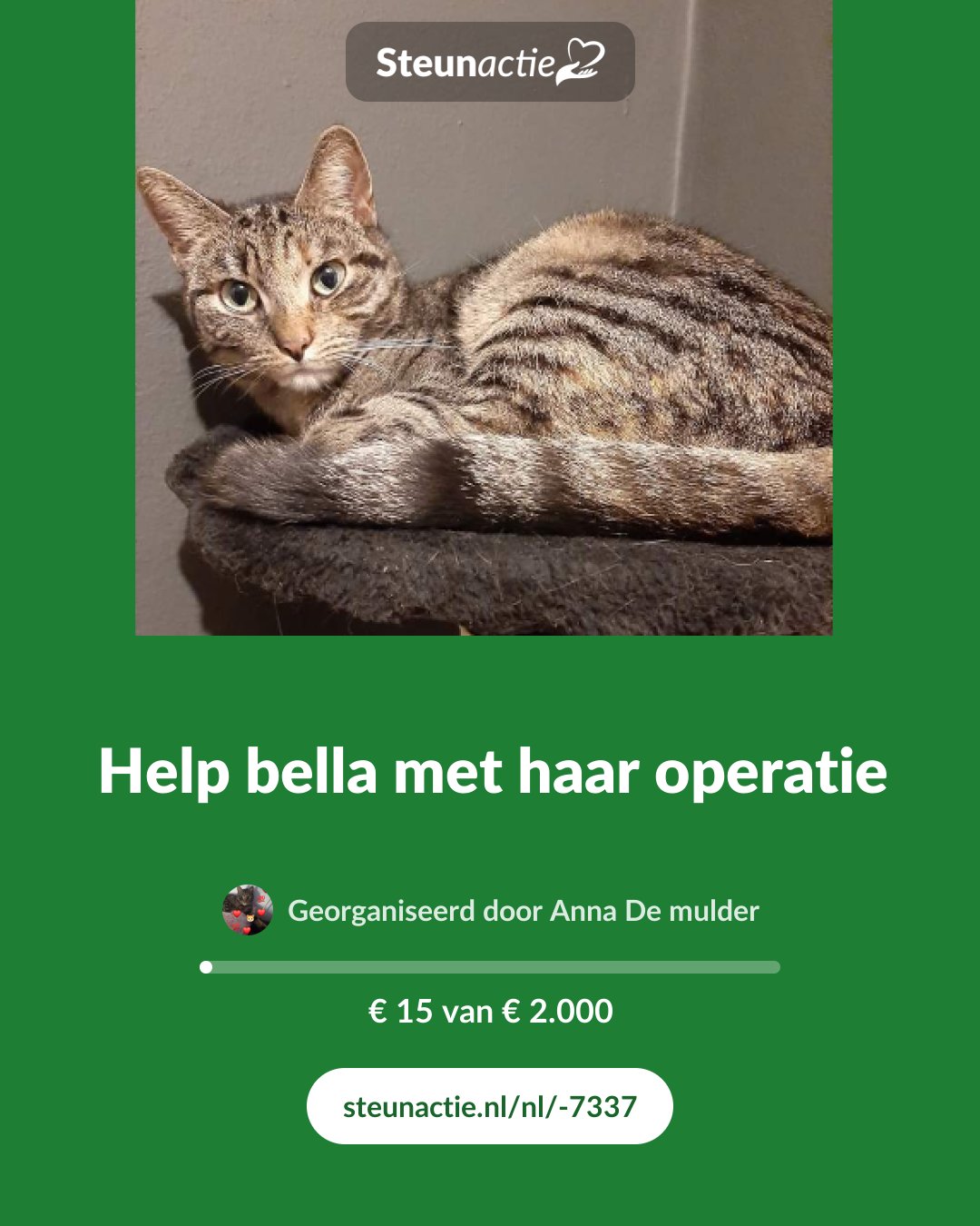 Voorbeeld van de afbeelding