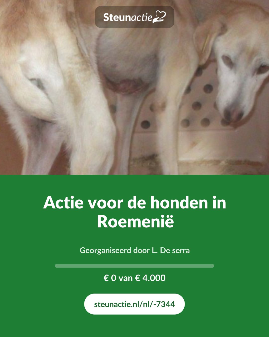 Voorbeeld van de afbeelding